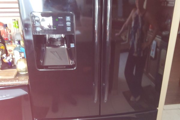 Fridge Compressor Runs but No Cooling: Refrigerant Leak or Faulty Evaporator Coil PWS 14